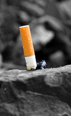 599 razloga za prestanak pušenja u 1 cigareti